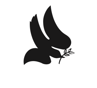 Screenshot-2023-11-17-at-3.50.28-PM